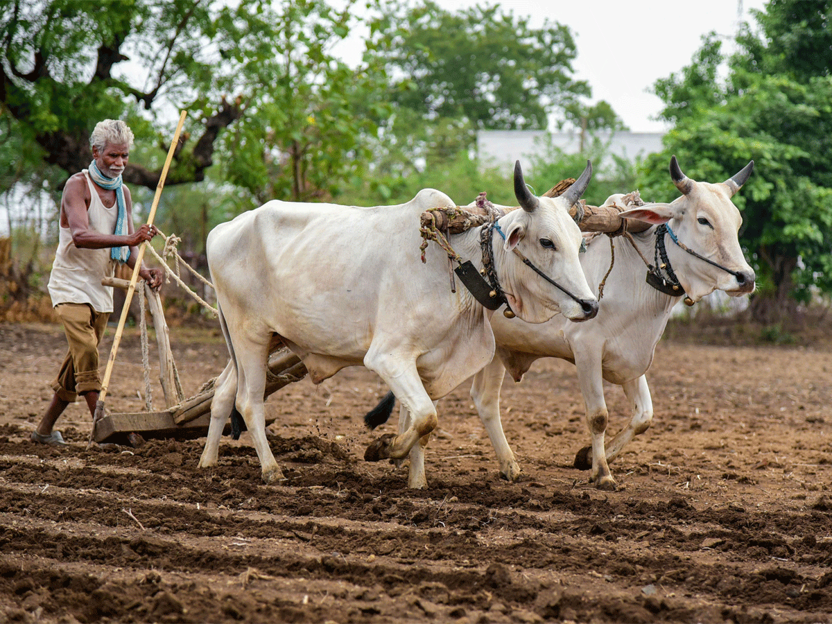 I am a farmer